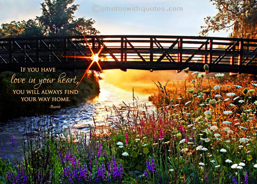 Going on a Vacation....Home!