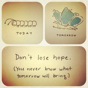 8388170120_7537395d1e_z