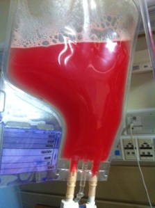 These are the stem cells.  Ryleigh got three bags of these!  